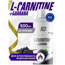 2SN L-carnitine + Guarana 500ml ЧЕРНАЯ СМОРОДИНА