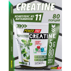 Power Pro Creatine Maximum Recovery 400g Мохито