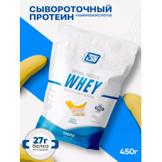 2SN Whey Protein 450g Banana